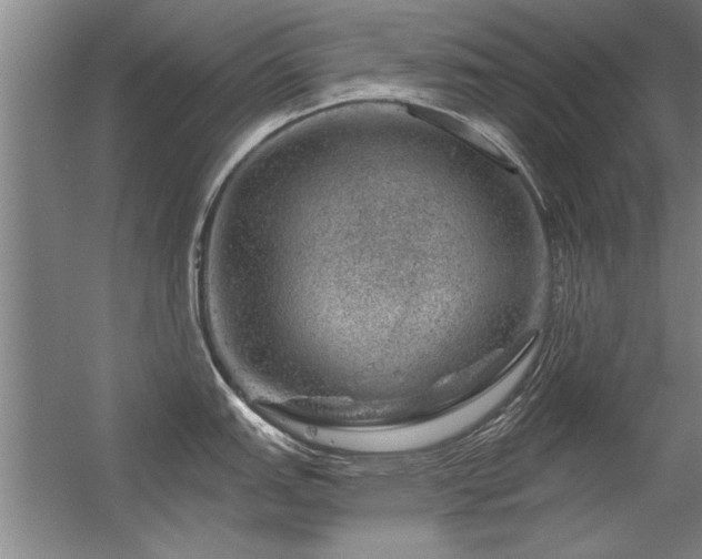 X0000056381151200509021834