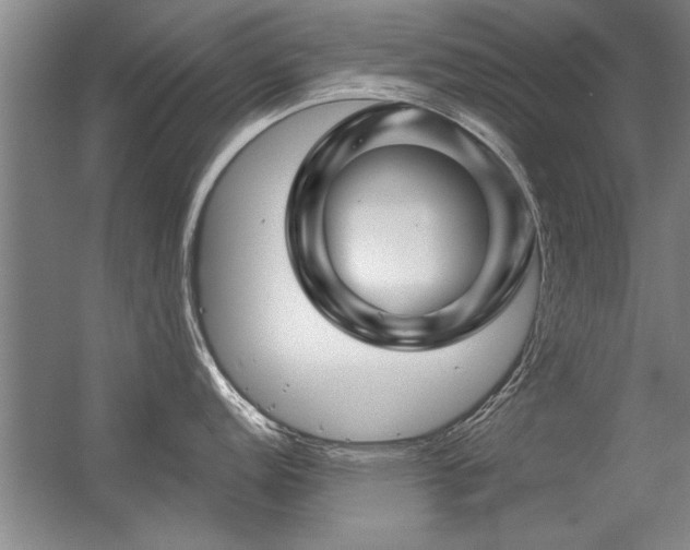 X0000056381152200509021834