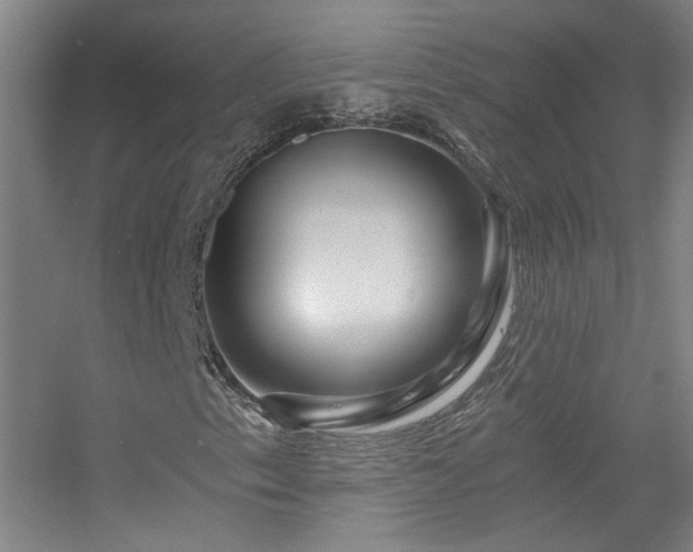 X0000056381153200509021834
