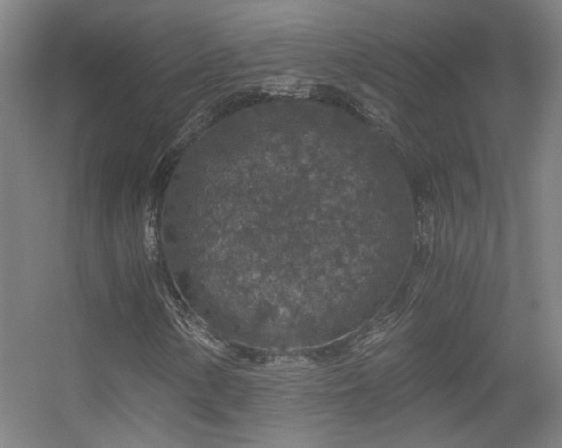 X0000056381154200509021834