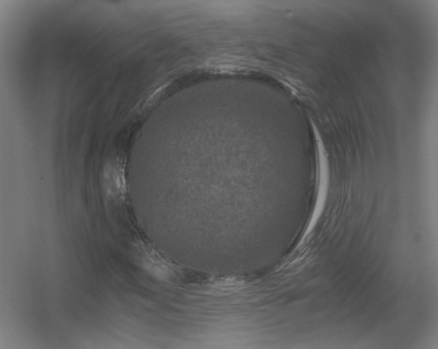 X0000056381155200509021834