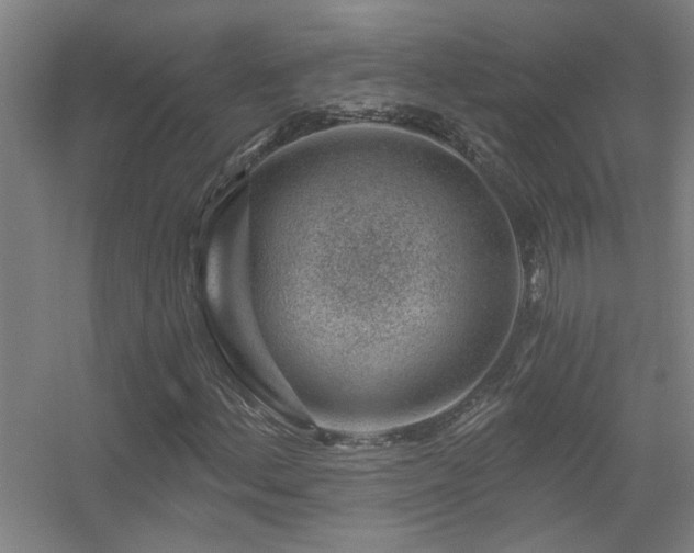 X0000056381156200509021834