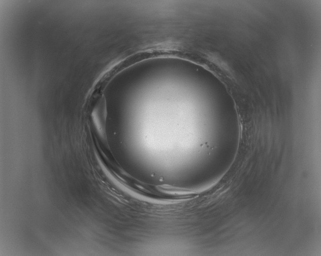 X0000056381160200509021833