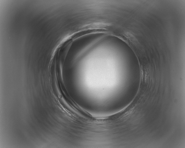 X0000056381164200509021833
