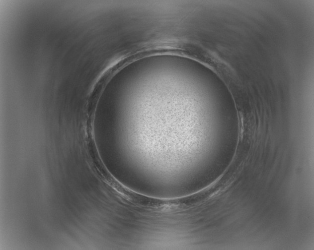 X0000056381166200509021833