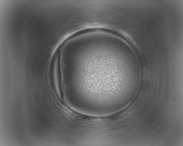 X0000056381167200509021833