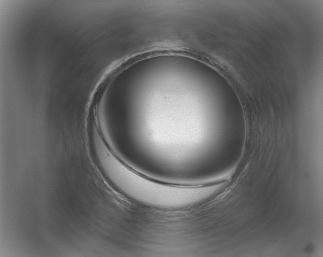 X0000056381168200509021833