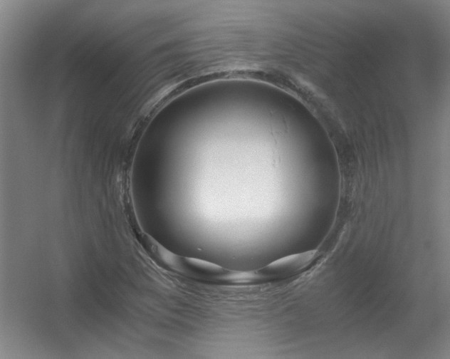 X0000056381169200509021833