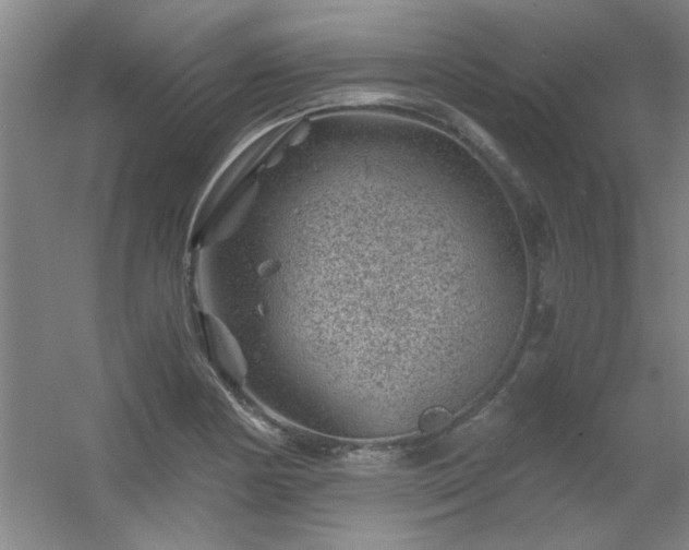 X0000056381178200509021833