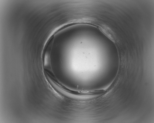 X0000056381184200509021833
