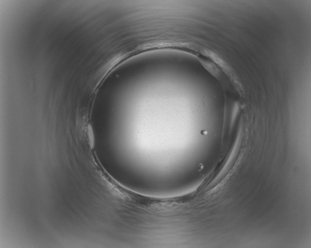 X0000056381185200509021833