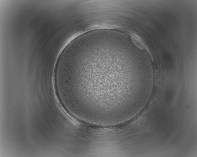 X0000056381187200509021833