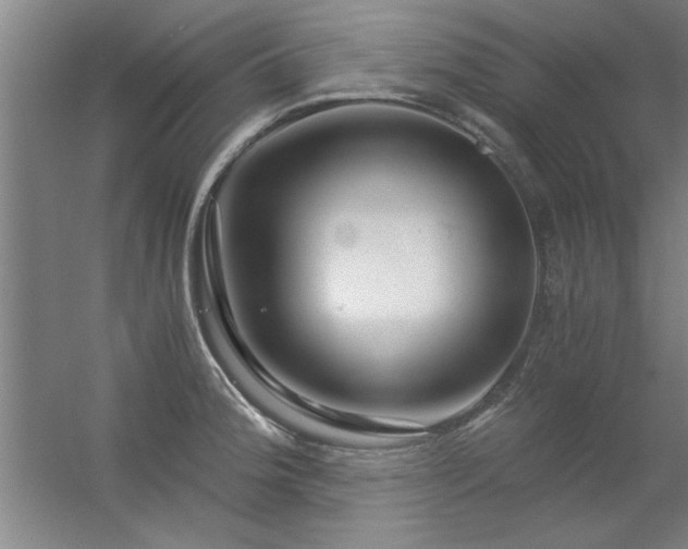 X0000056381188200509021833