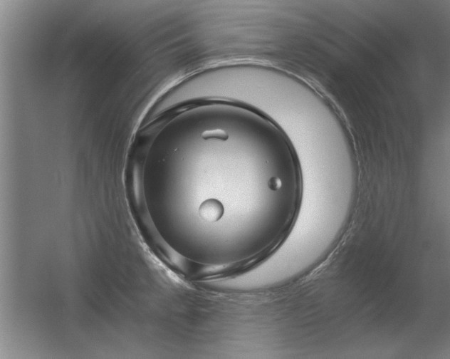 X0000056381189200509021833