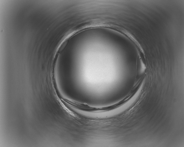 X0000056381197200509021833