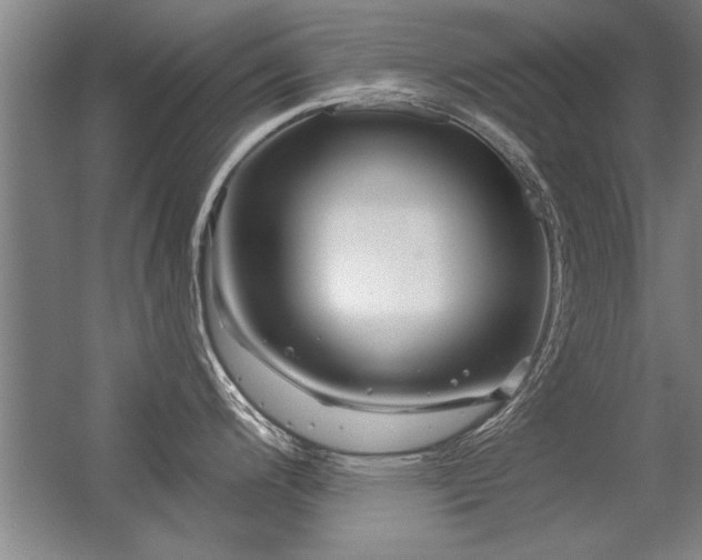 X0000056381200200509021833