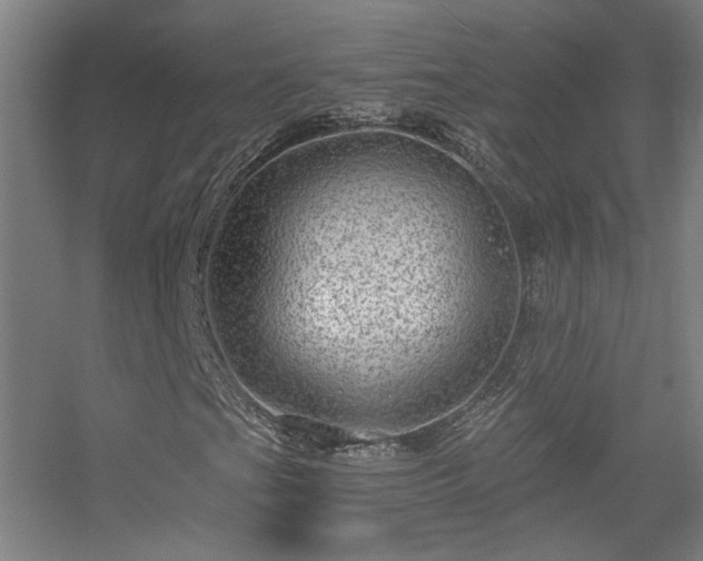 X0000056381201200509021832