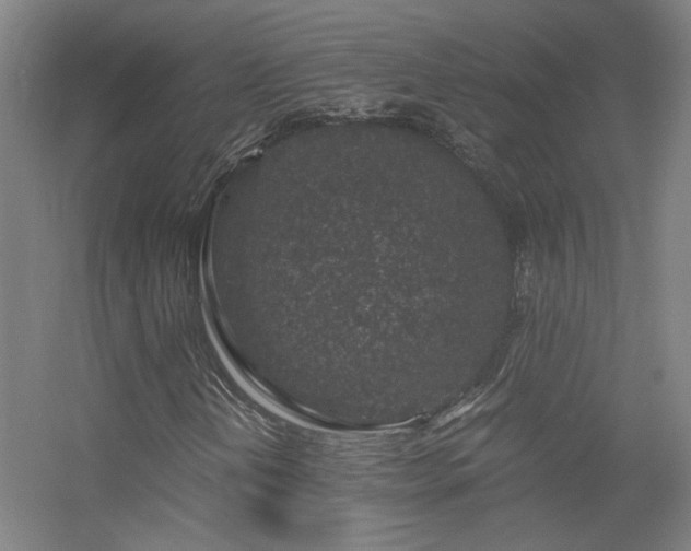 X0000056381202200509021832