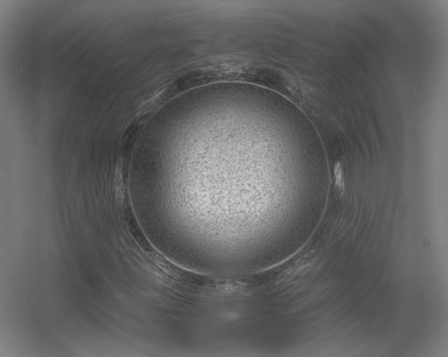 X0000056381203200509021832