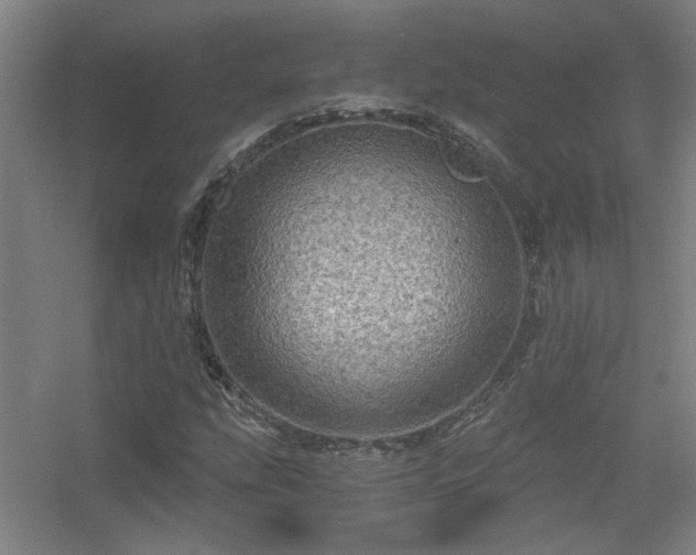 X0000056381207200509021832