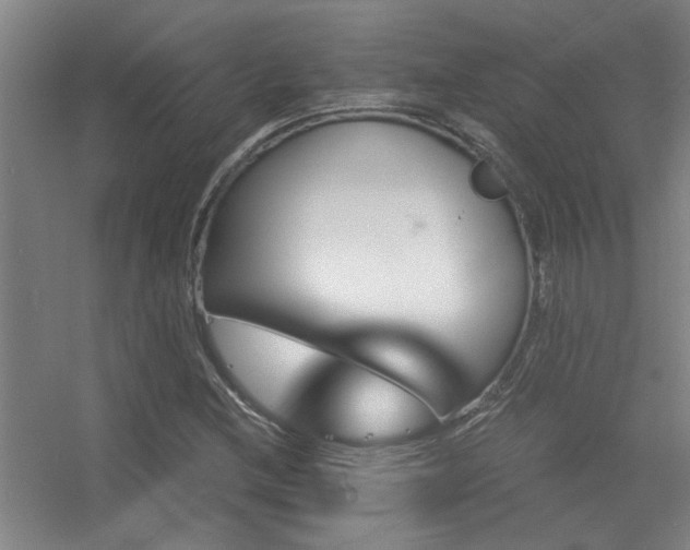 X0000056381212200509021832