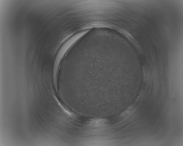 X0000056381225200509021832