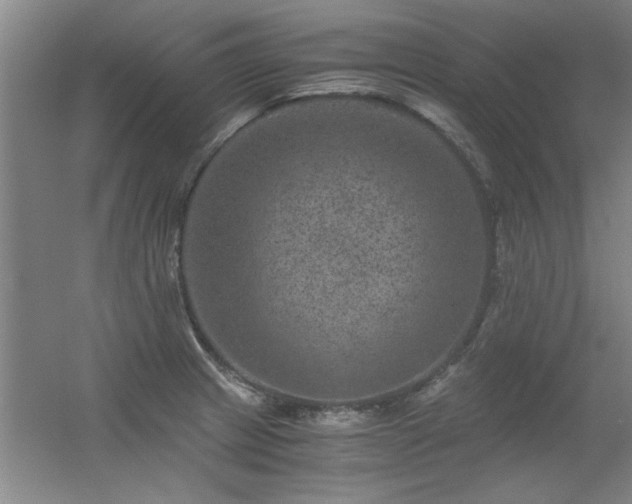 X0000056381233200509021833