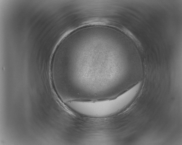 X0000056381240200509021833