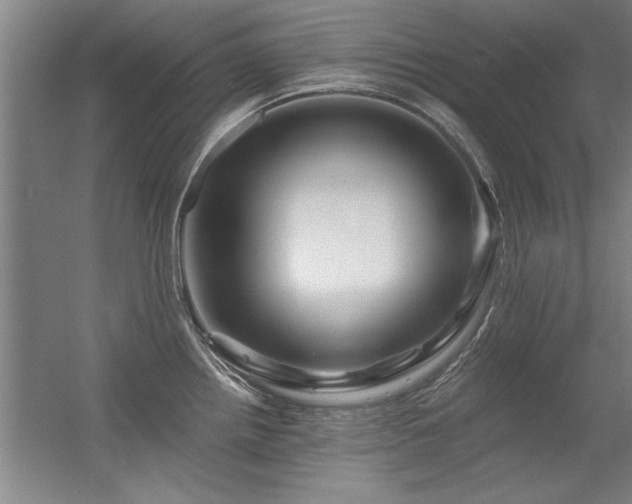 X0000056381242200509021833