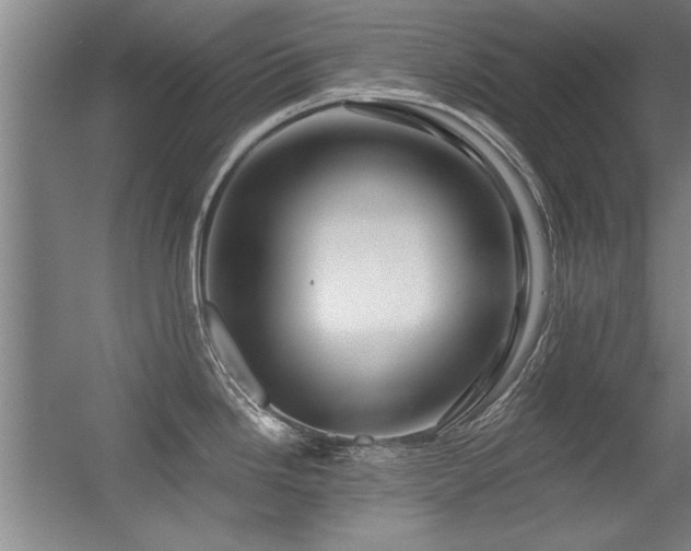 X0000056381246200509021833