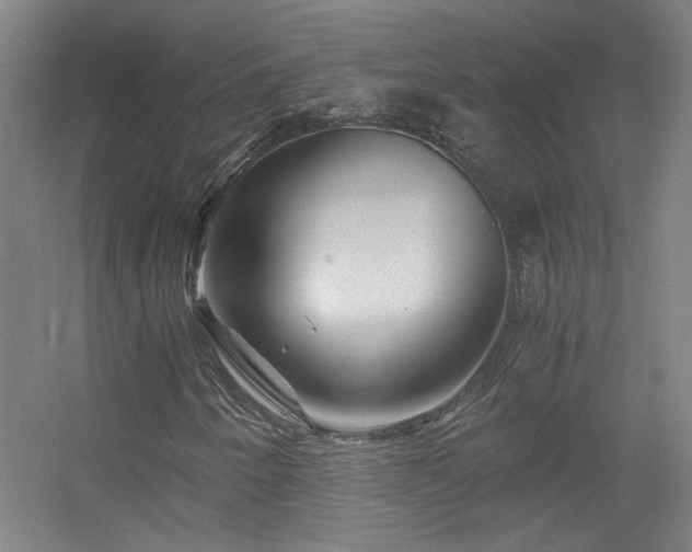 X0000056381250200509021832