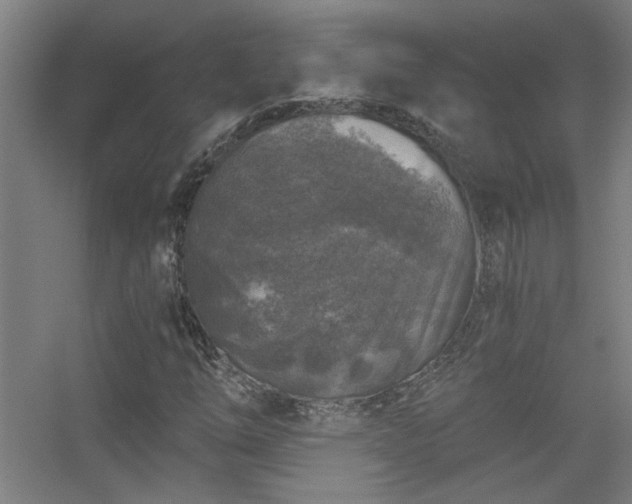 X0000056381254200509021832