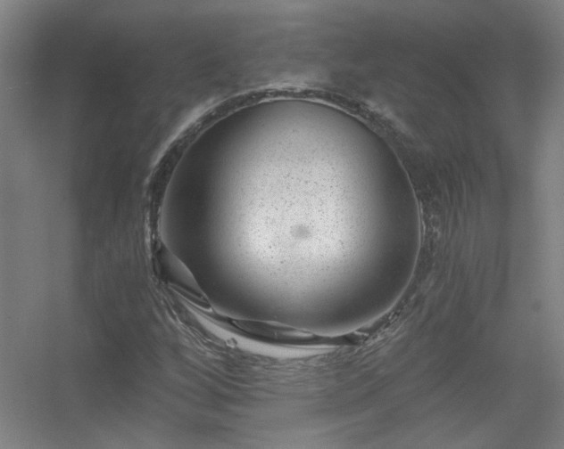 X0000056381256200509021832