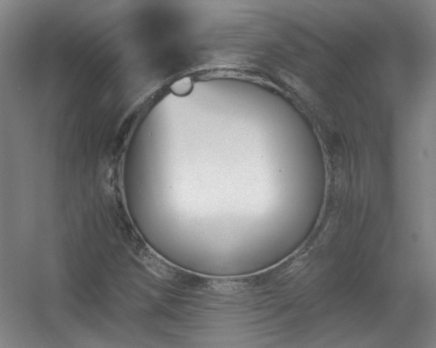 X0000056381258200509021832