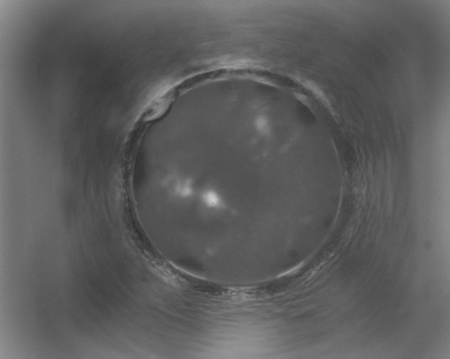 X0000056381263200509021832