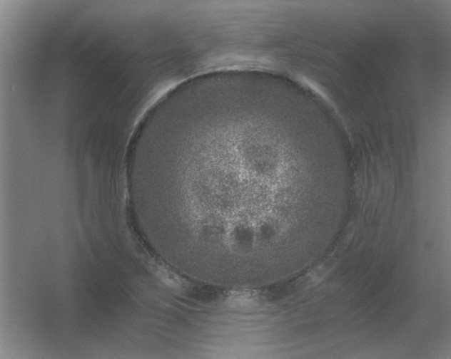 X0000056381267200509021832