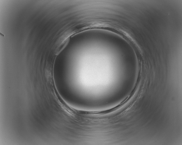 X0000056381281200509021831