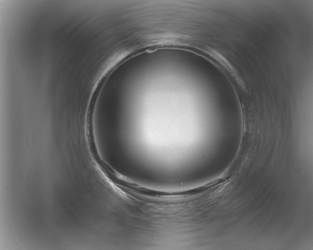 X0000056381285200509021831