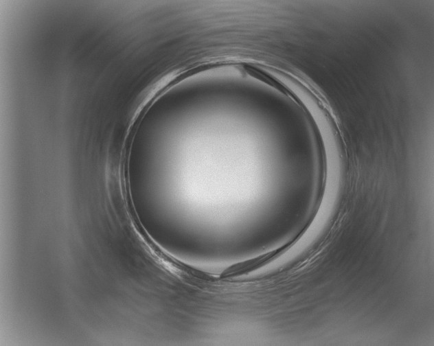 X0000056381293200509021831