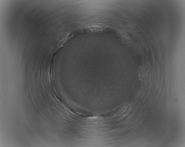 X0000056381298200509021830