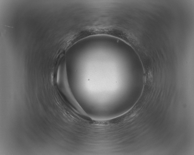 X0000056381300200509021830