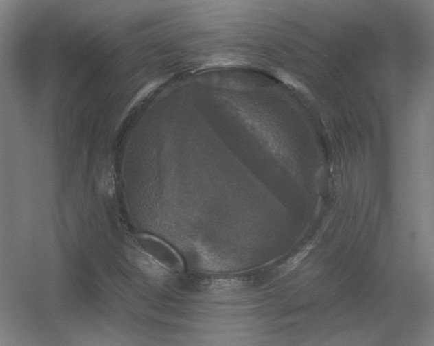 X0000056381306200509021830