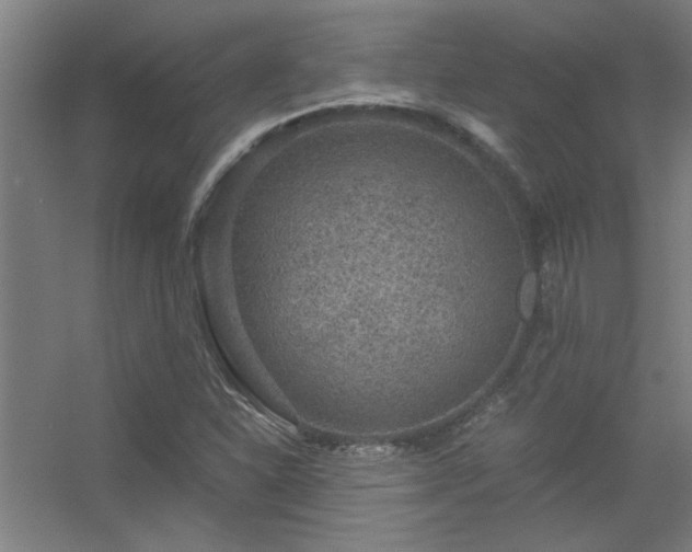 X0000056381310200509021831