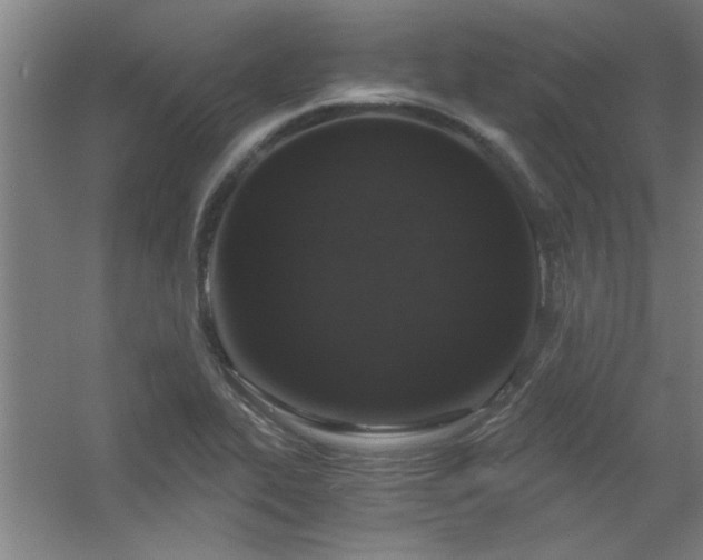 X0000056381319200509021831