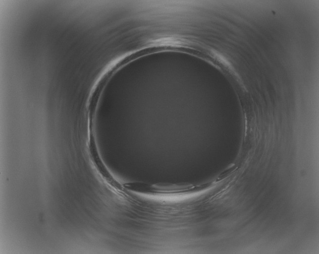 X0000056381323200509021831