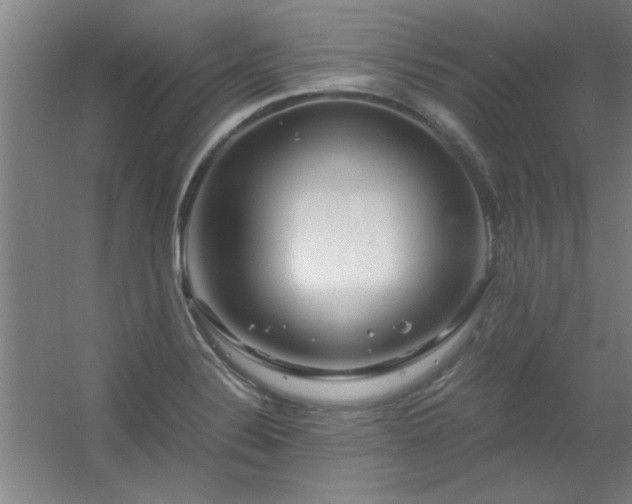 X0000056381324200509021831