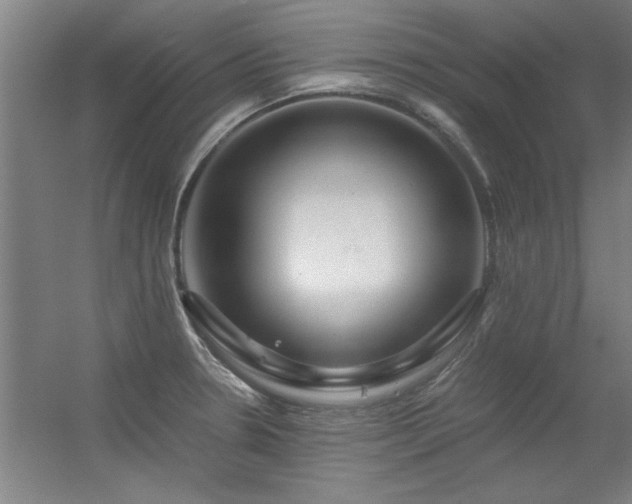 X0000056381330200509021831