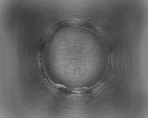 X0000056381346200509021830