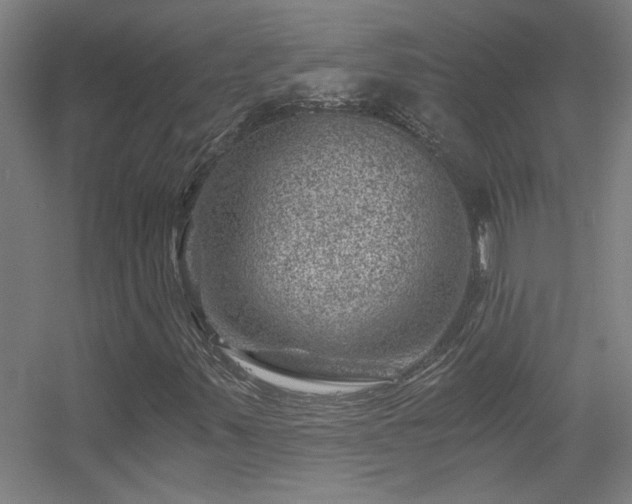 X0000056381347200509021830