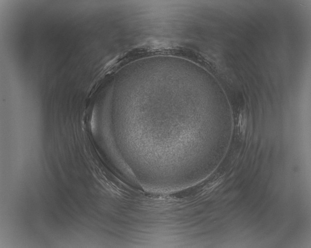 X0000056381348200509021830